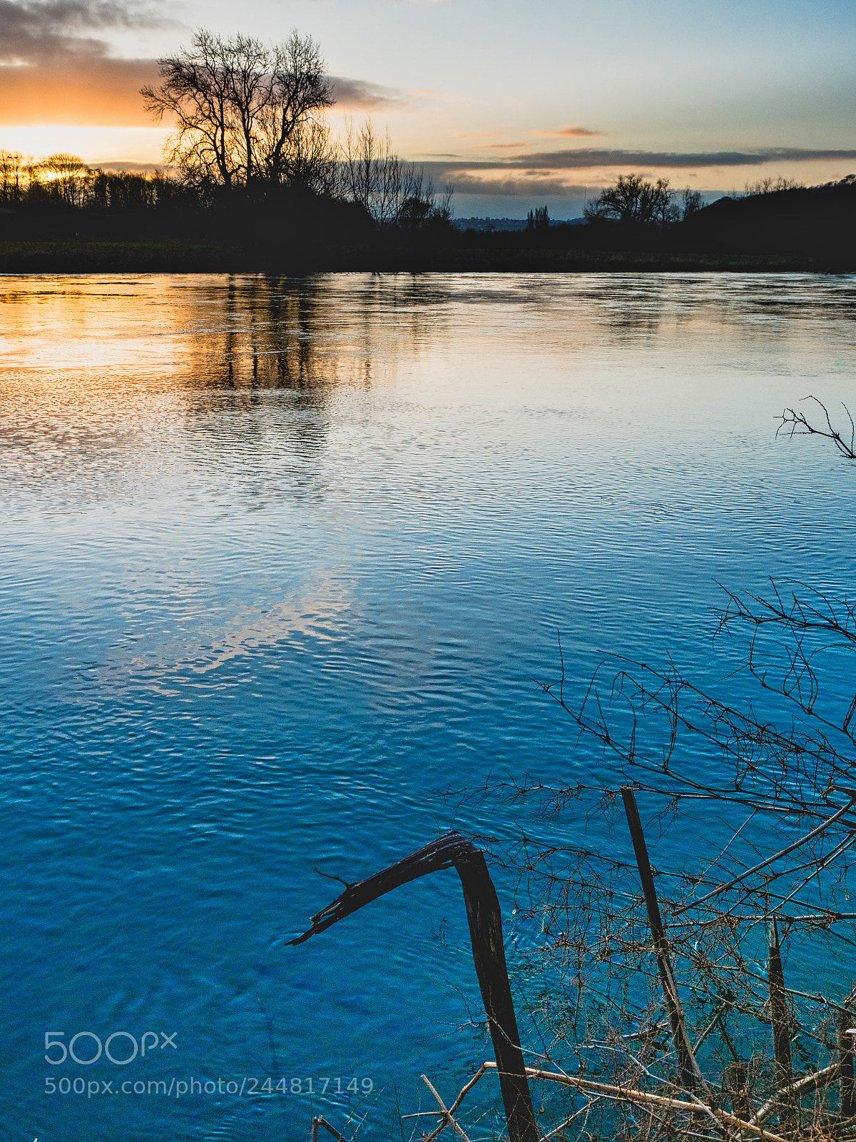 Olympus OM-D E-M1 Mark II sample photo. Early bird ii photography