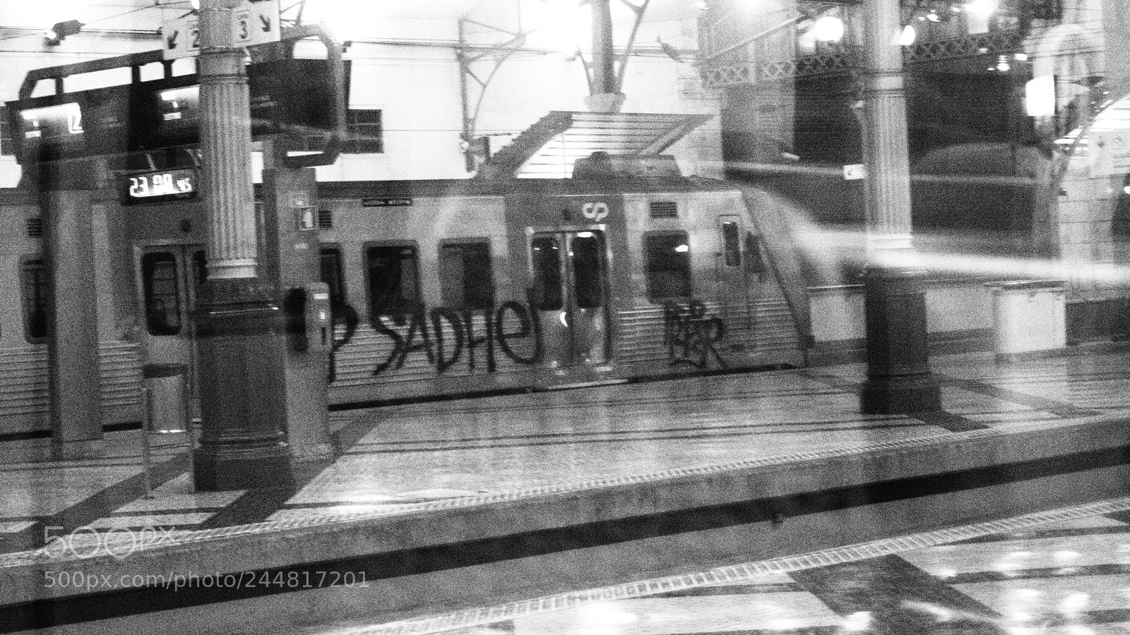 Olympus OM-D E-M10 sample photo. Every day train.... photography