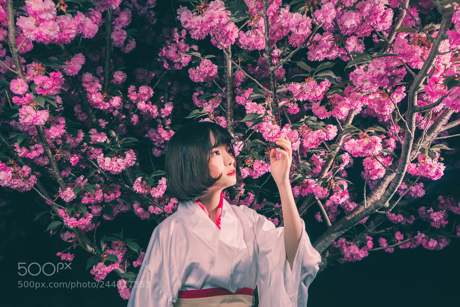 Sony a7 sample photo. 编辑 photography