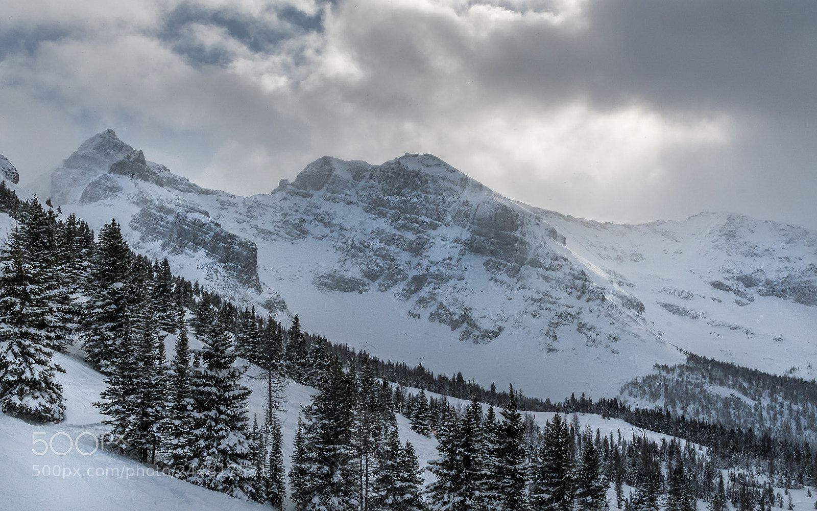 Nikon D500 sample photo. Banff rockies photography