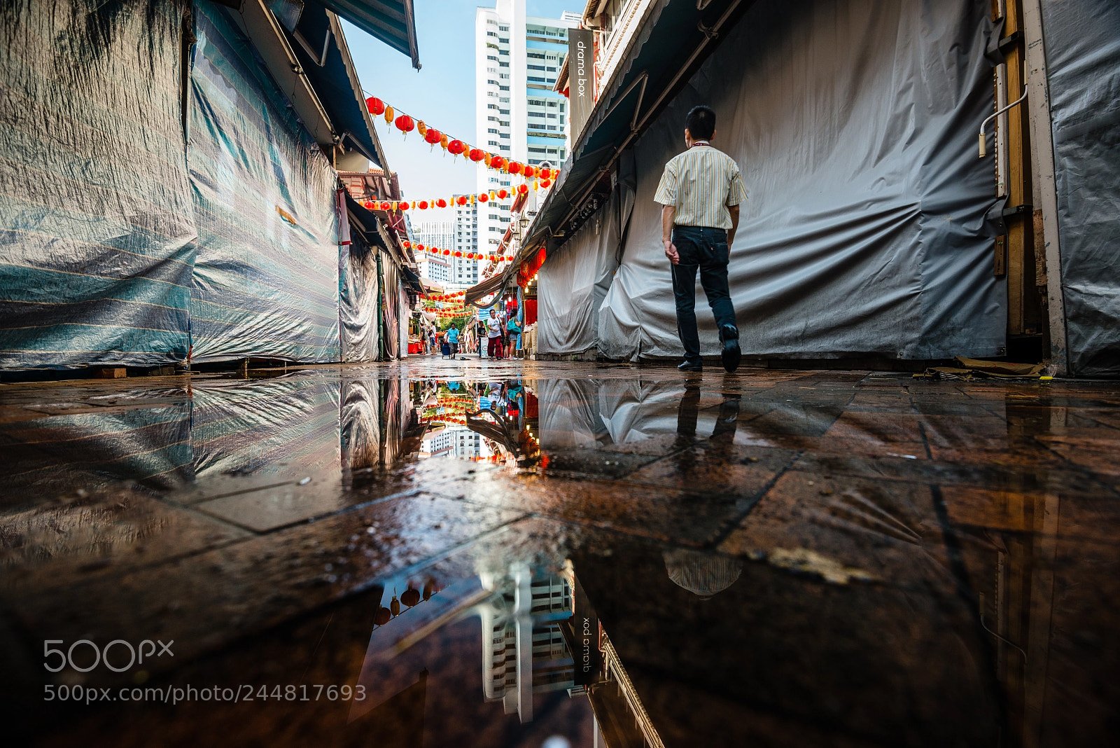 Nikon D800E sample photo. Puddlegram ii photography
