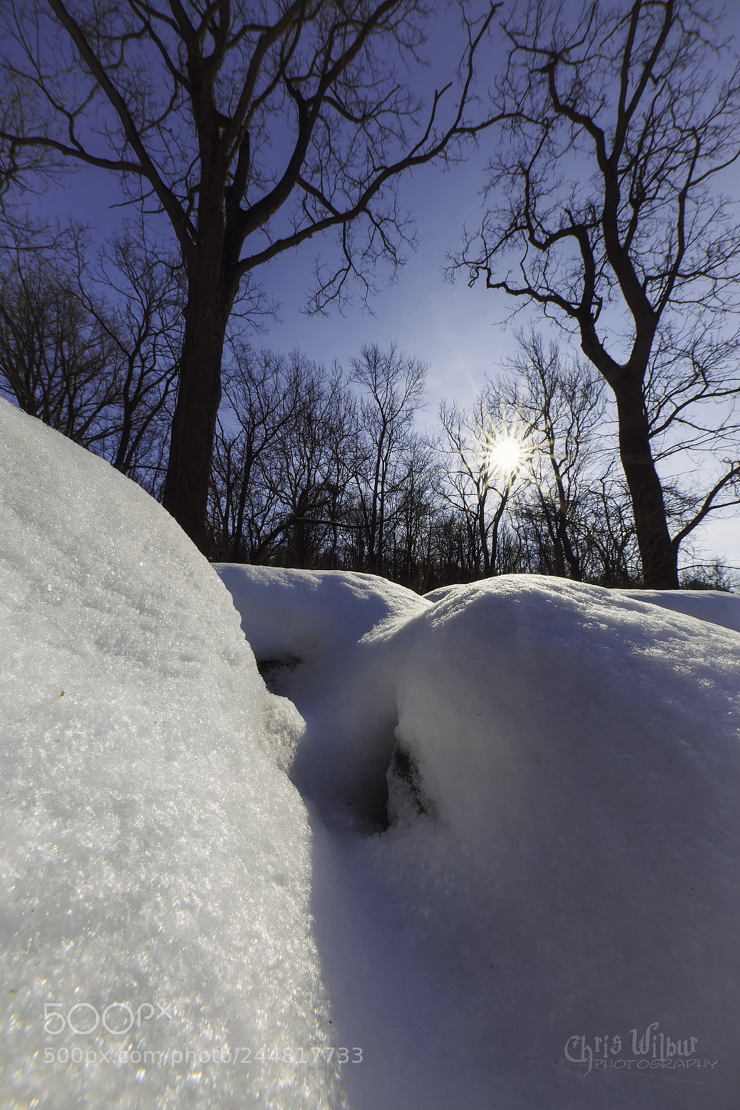 Canon EOS 6D sample photo. The depths of winter photography