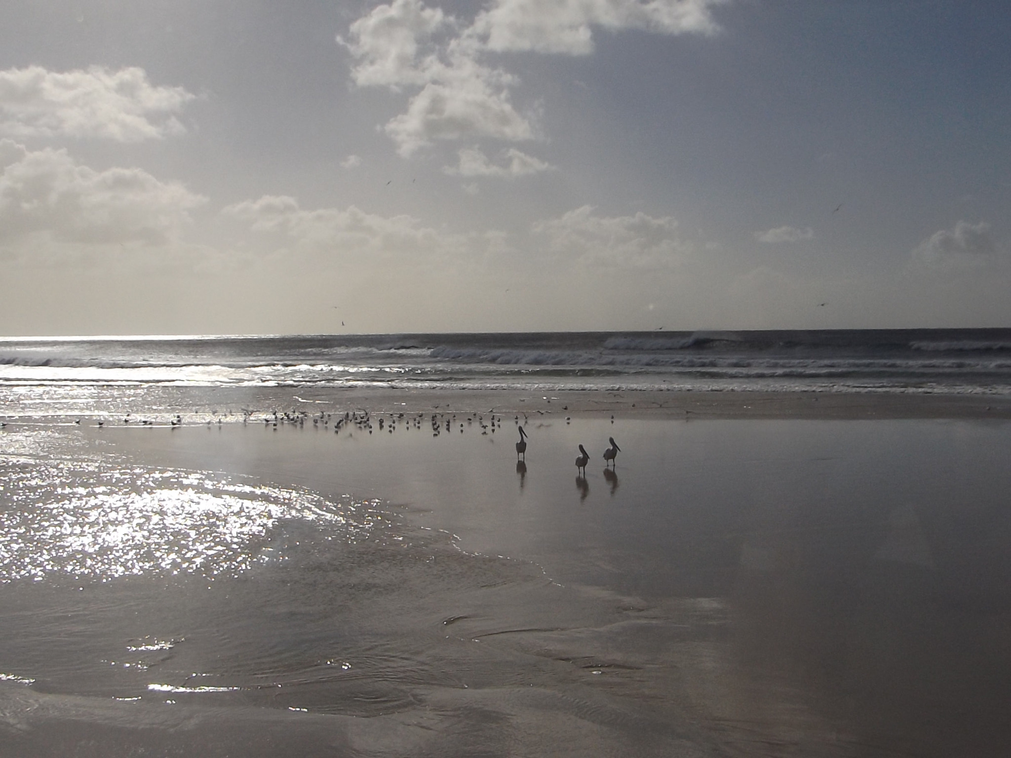 Fujifilm FinePix S8600 sample photo. Seashore and birds at the edge of the world 4587 photography