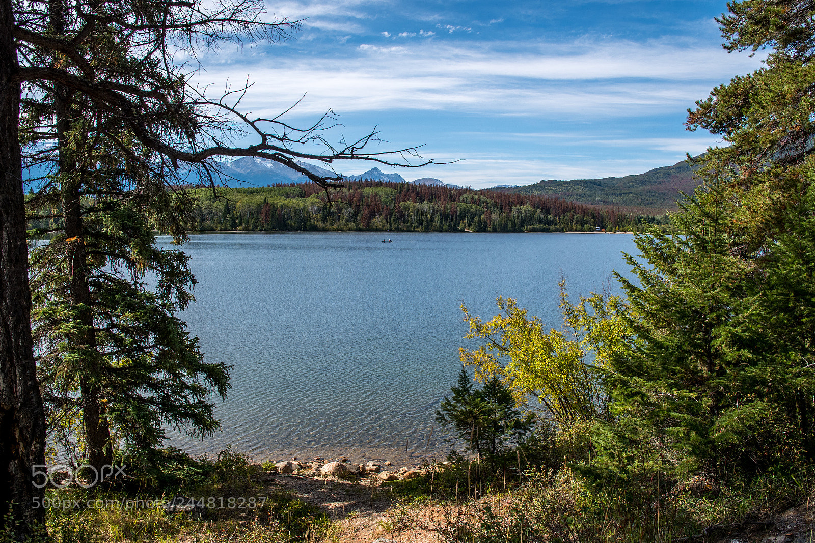 Nikon D500 sample photo. Alberta canada. national parks. photography