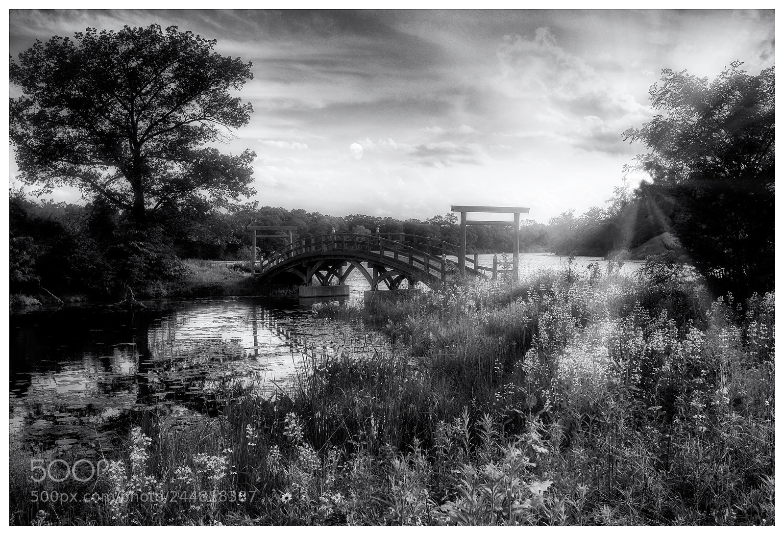 Nikon D700 sample photo. Marquette park photography