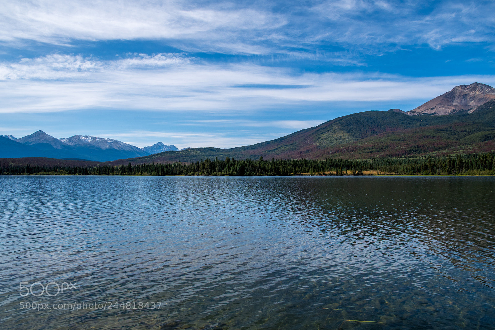 Nikon D500 sample photo. Alberta canada. national parks. photography