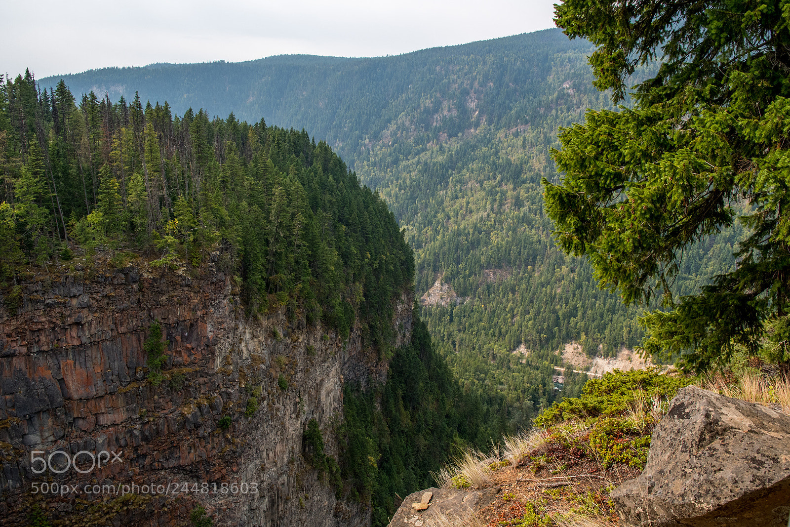 Nikon D500 sample photo. Alberta canada. national parks. photography