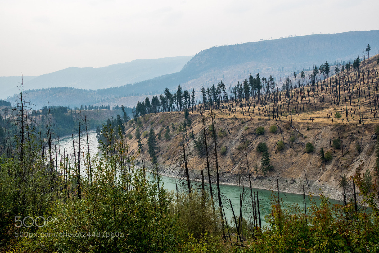 Nikon D500 sample photo. Alberta canada. national parks. photography