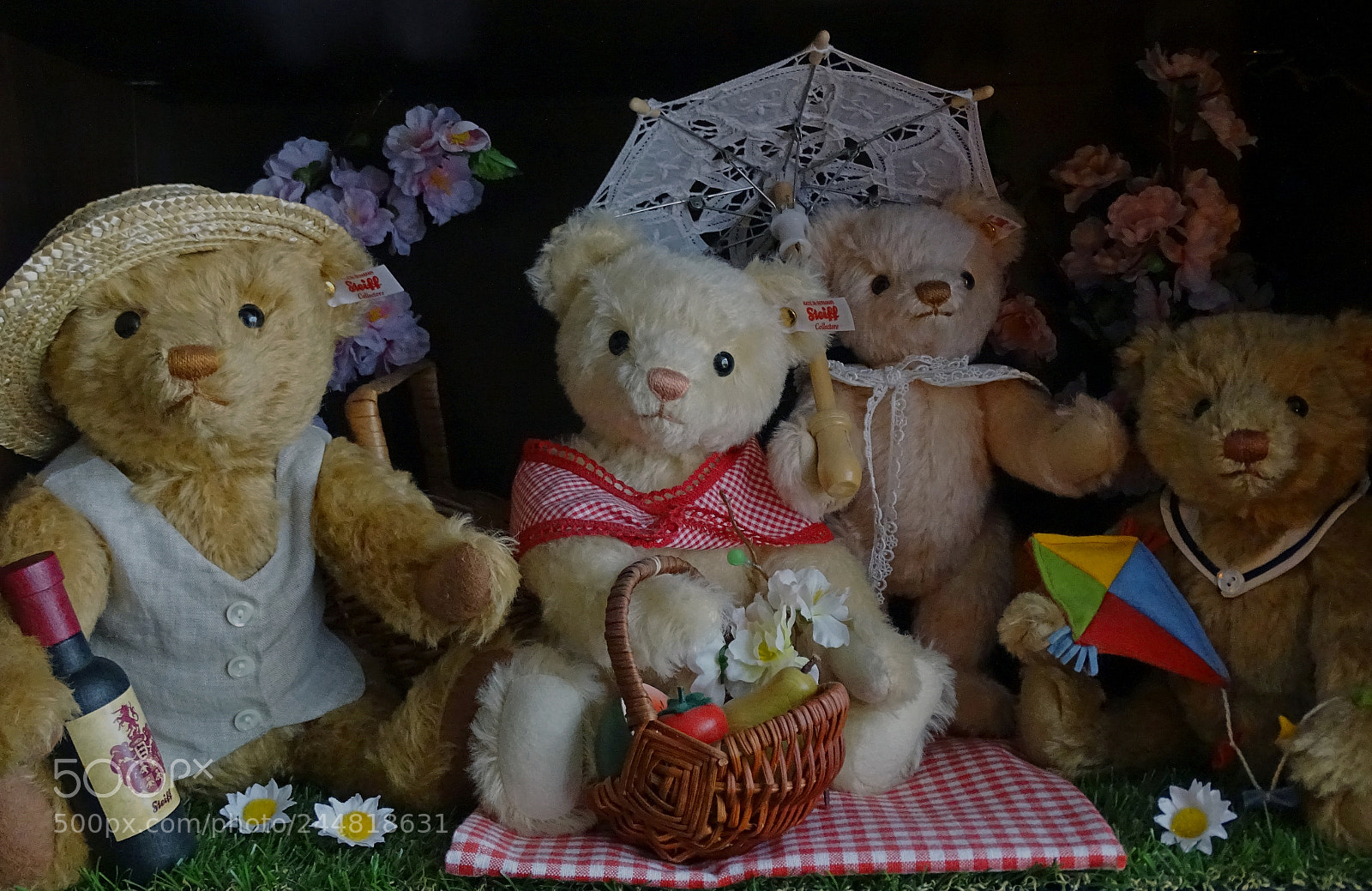 Sony Cyber-shot DSC-HX400V sample photo. Steiff picnic family photography