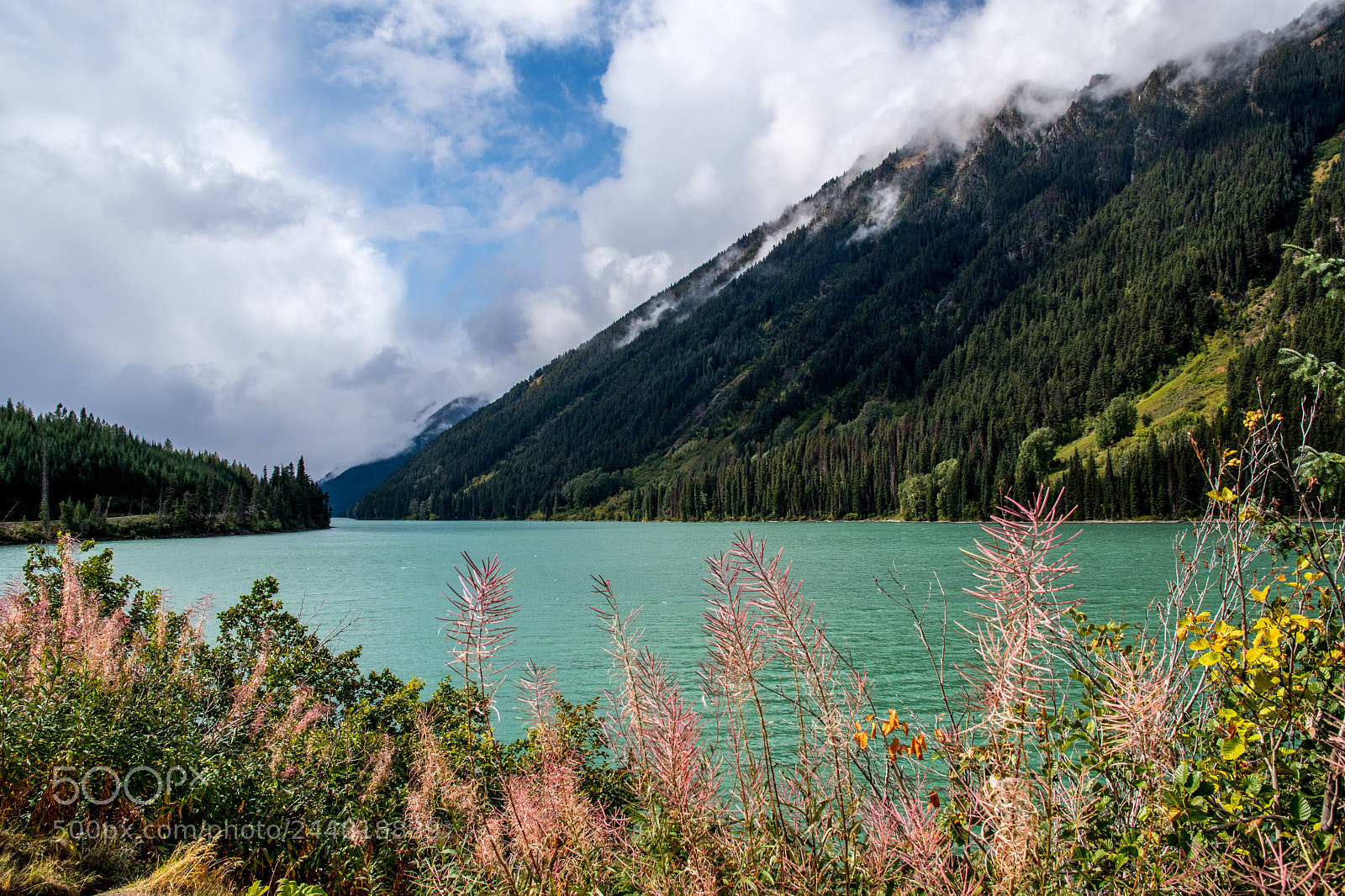 Nikon D500 sample photo. Alberta canada. national parks. photography