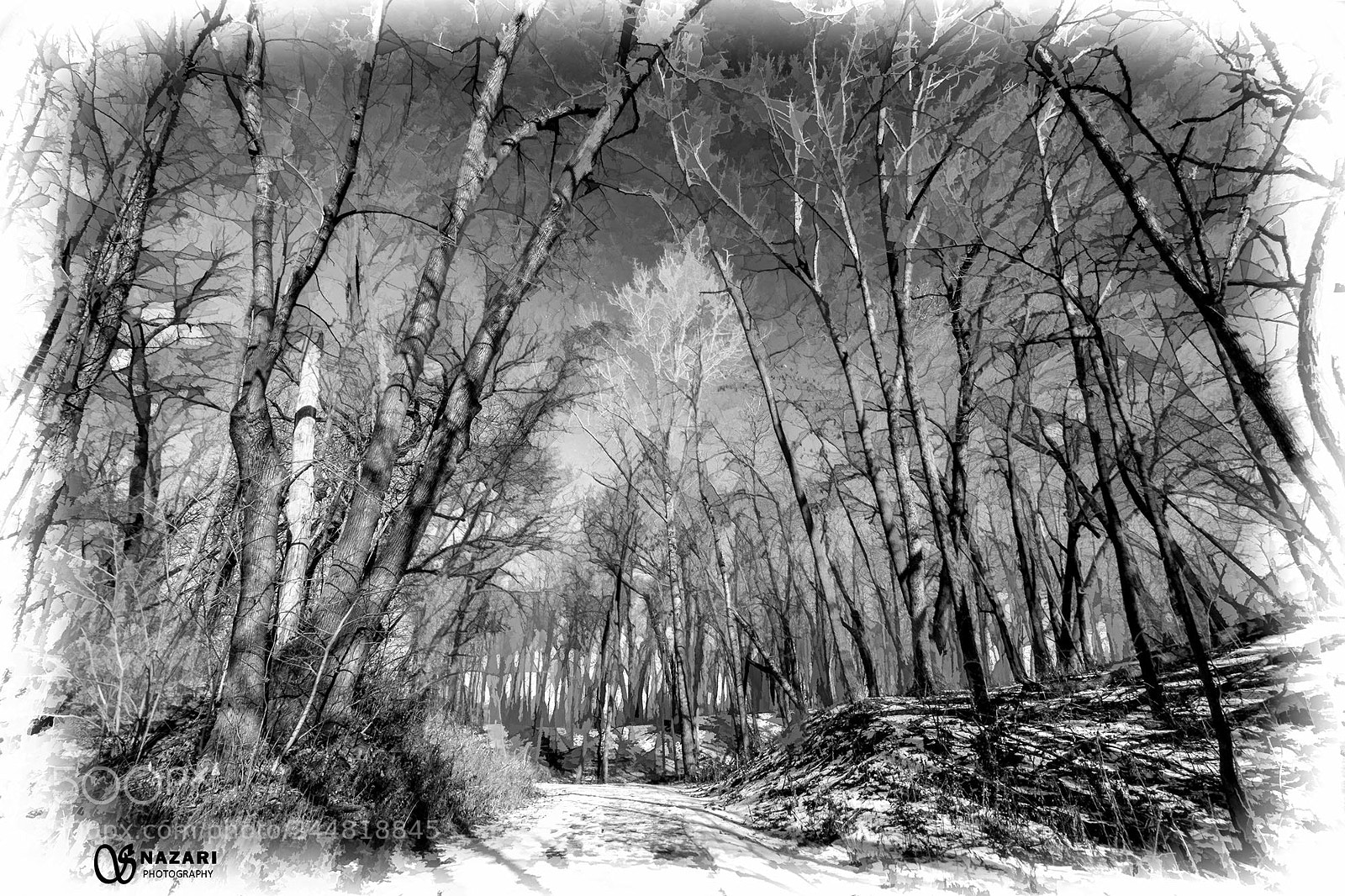 Canon EOS 7D Mark II sample photo. Winter mood photography
