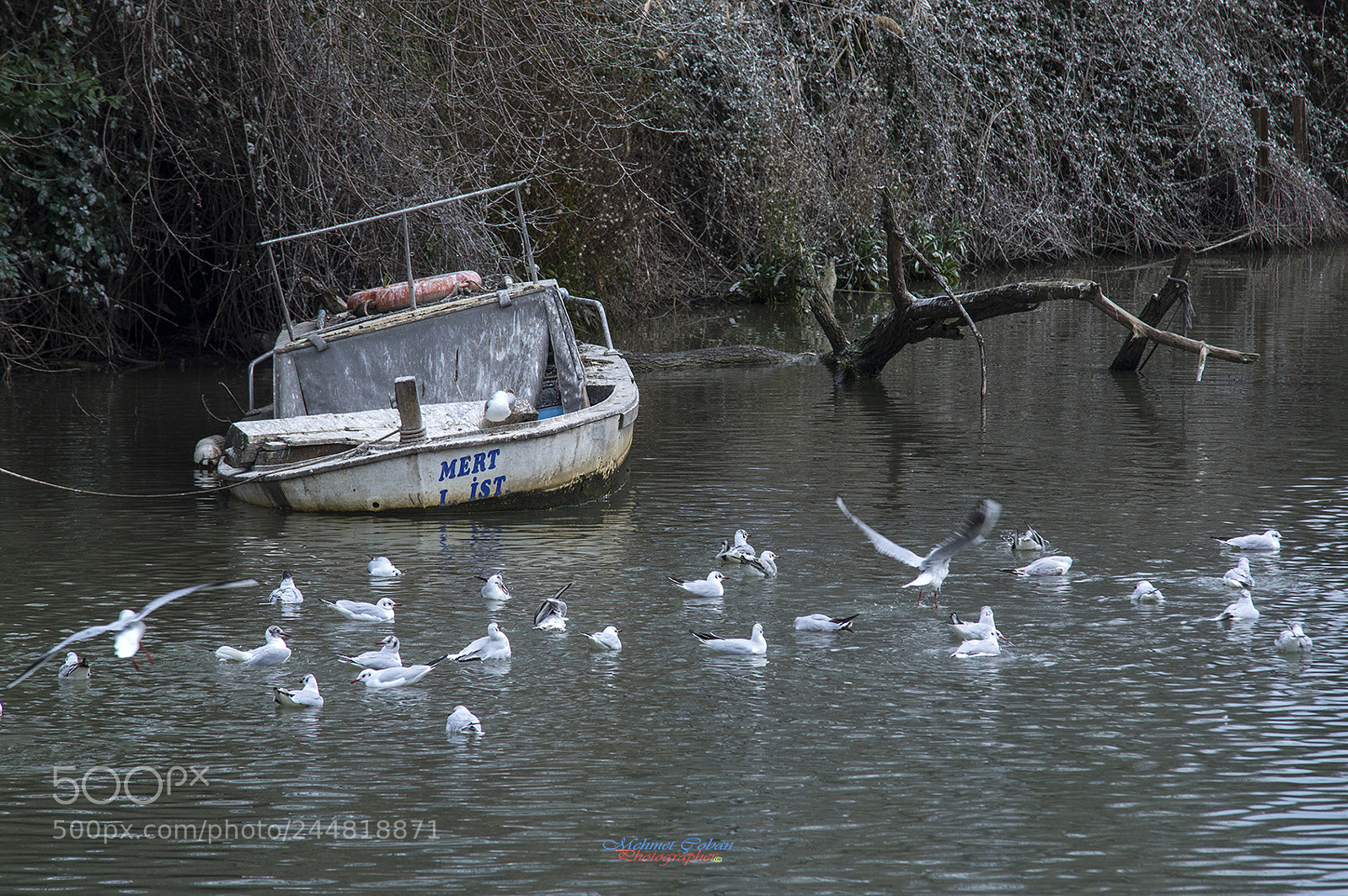 Pentax K-3 II sample photo. Natural landscape photography