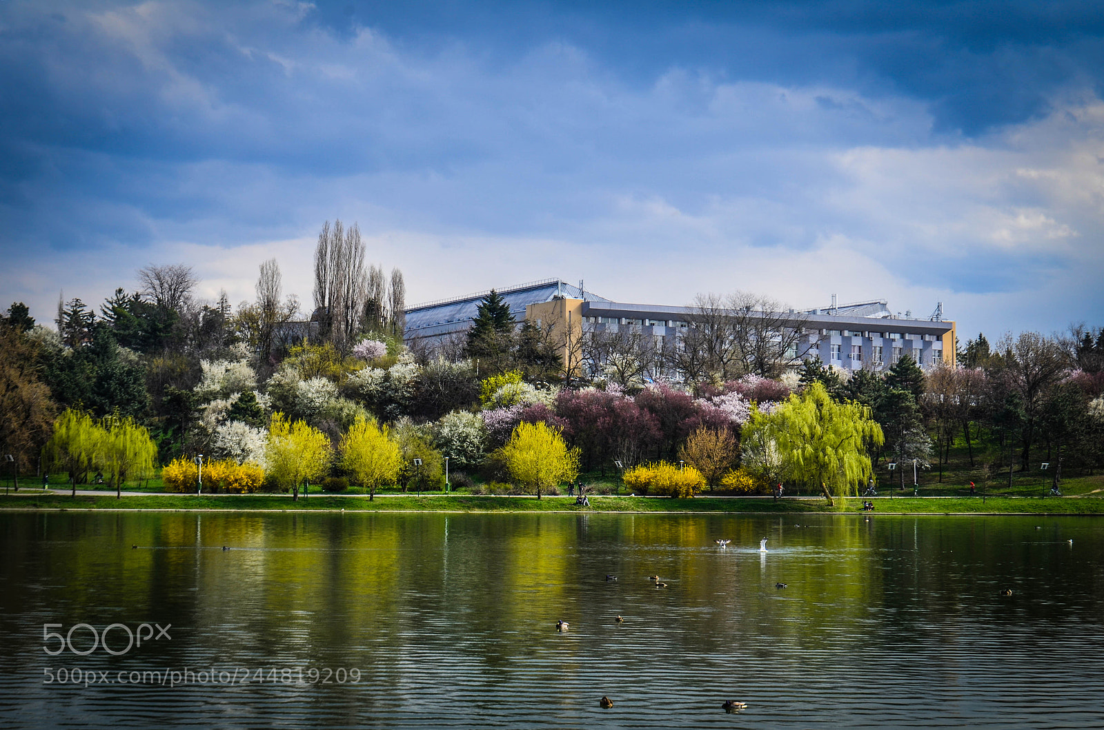 Nikon D5100 sample photo. Spring in bucharest photography