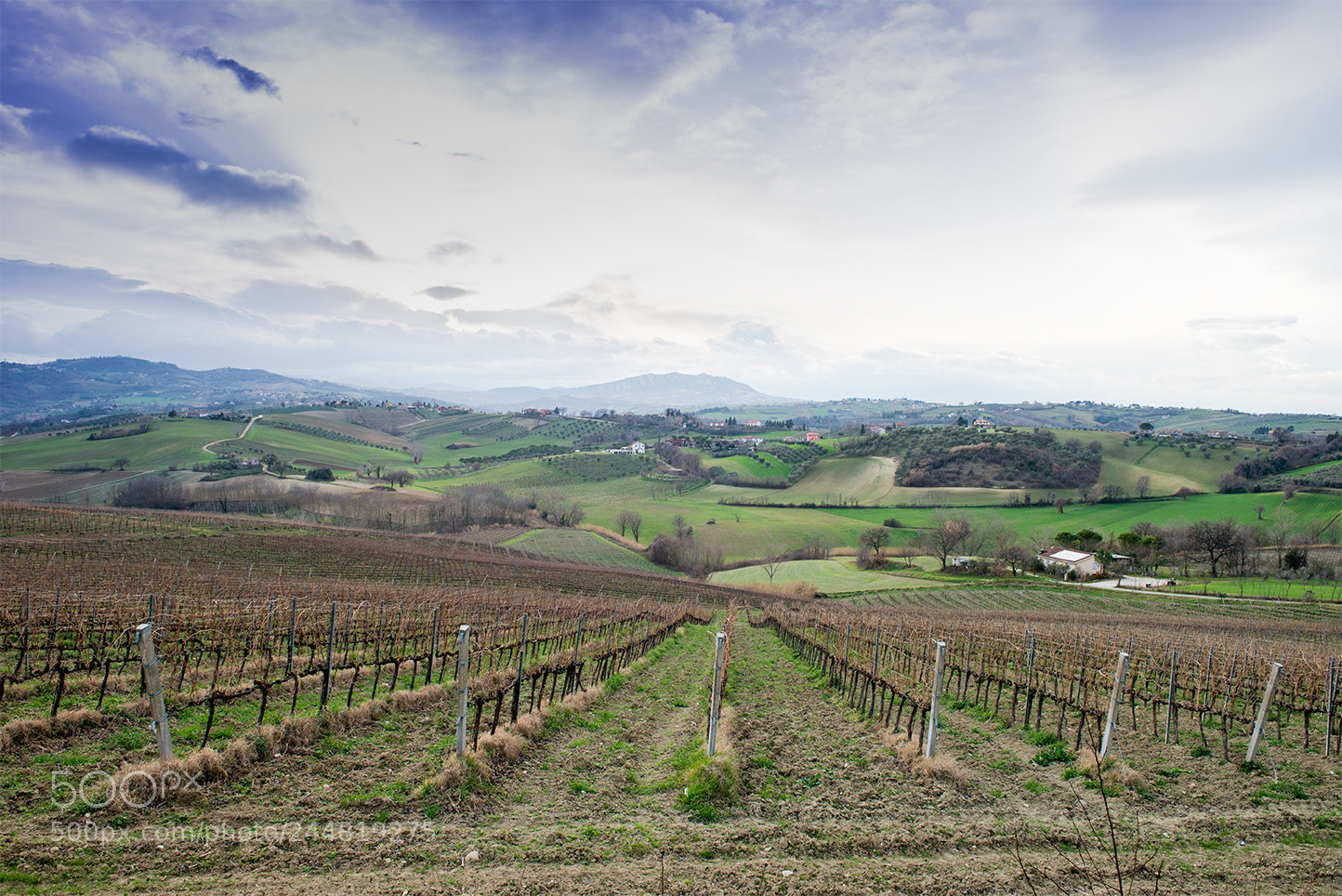 Nikon D610 sample photo. Dietrorn photography
