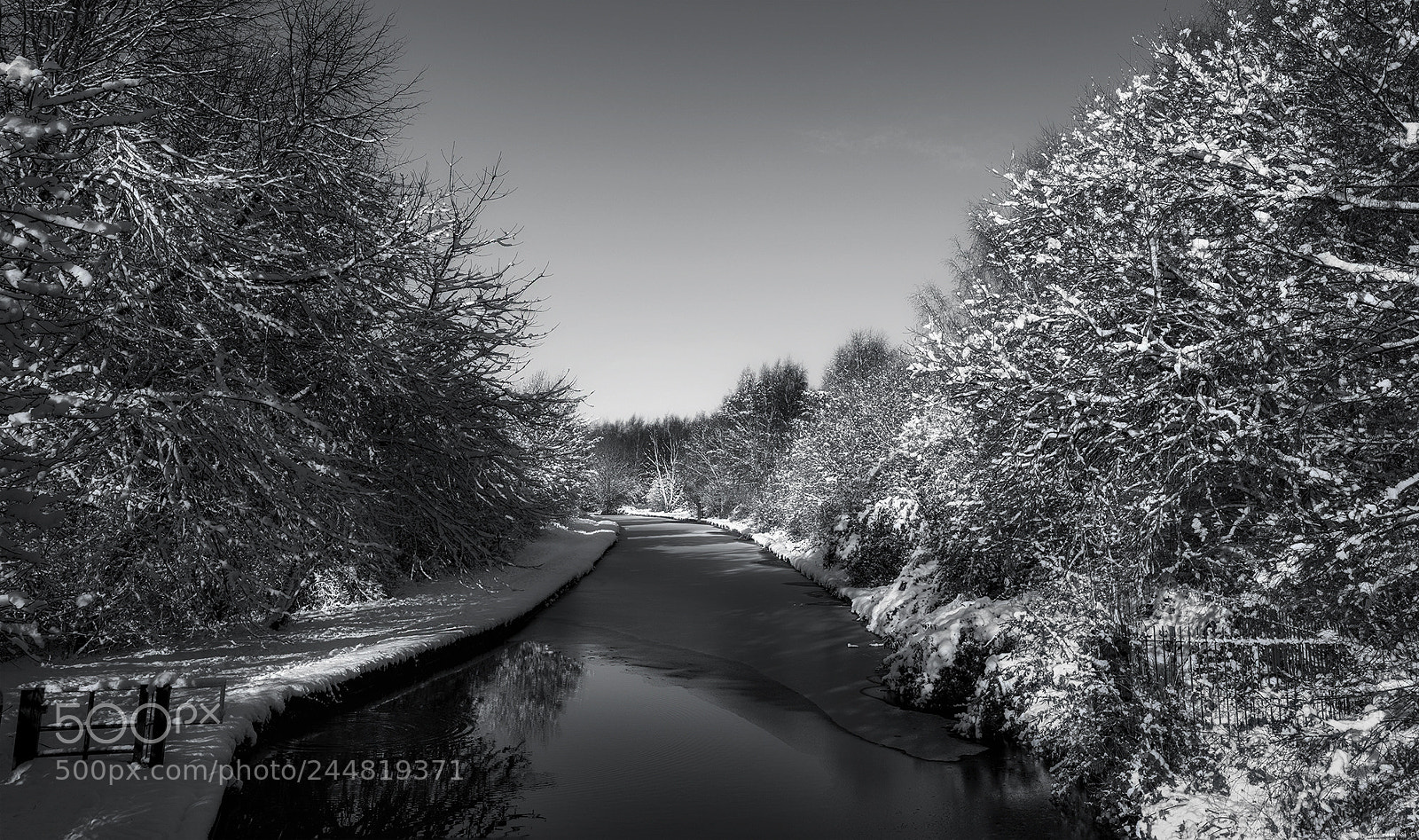 Nikon D850 sample photo. Foot's hole nature reserve photography