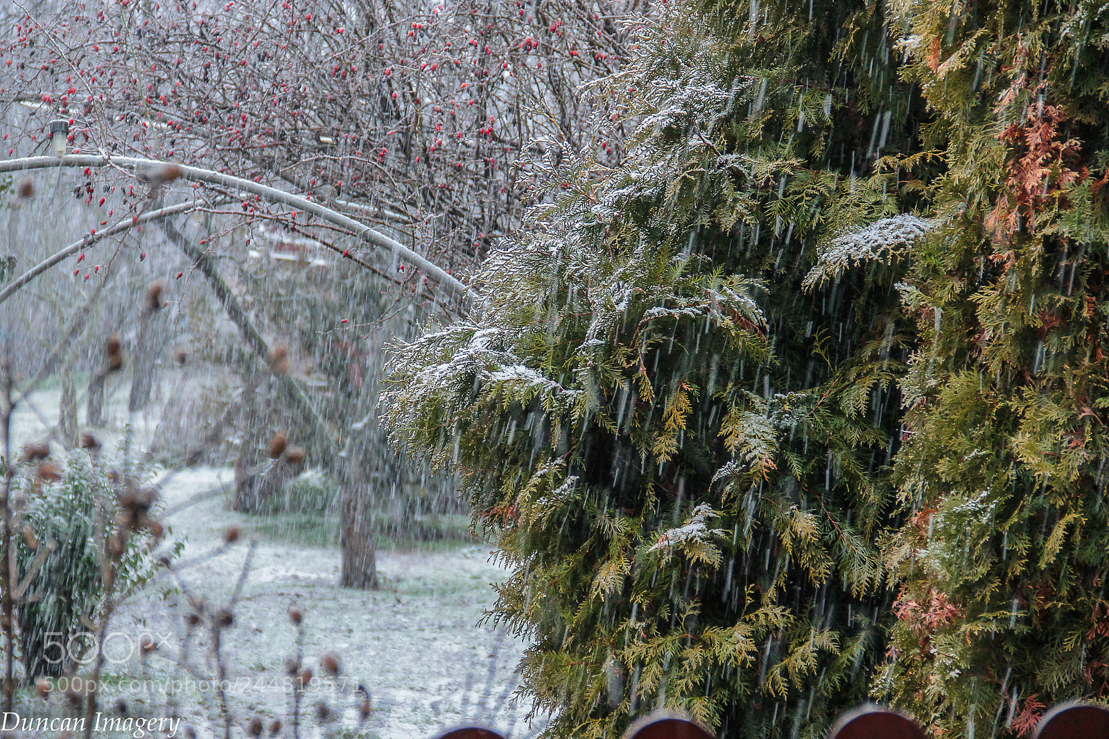 Canon EOS 1100D (EOS Rebel T3 / EOS Kiss X50) sample photo. It's snowing outside photography