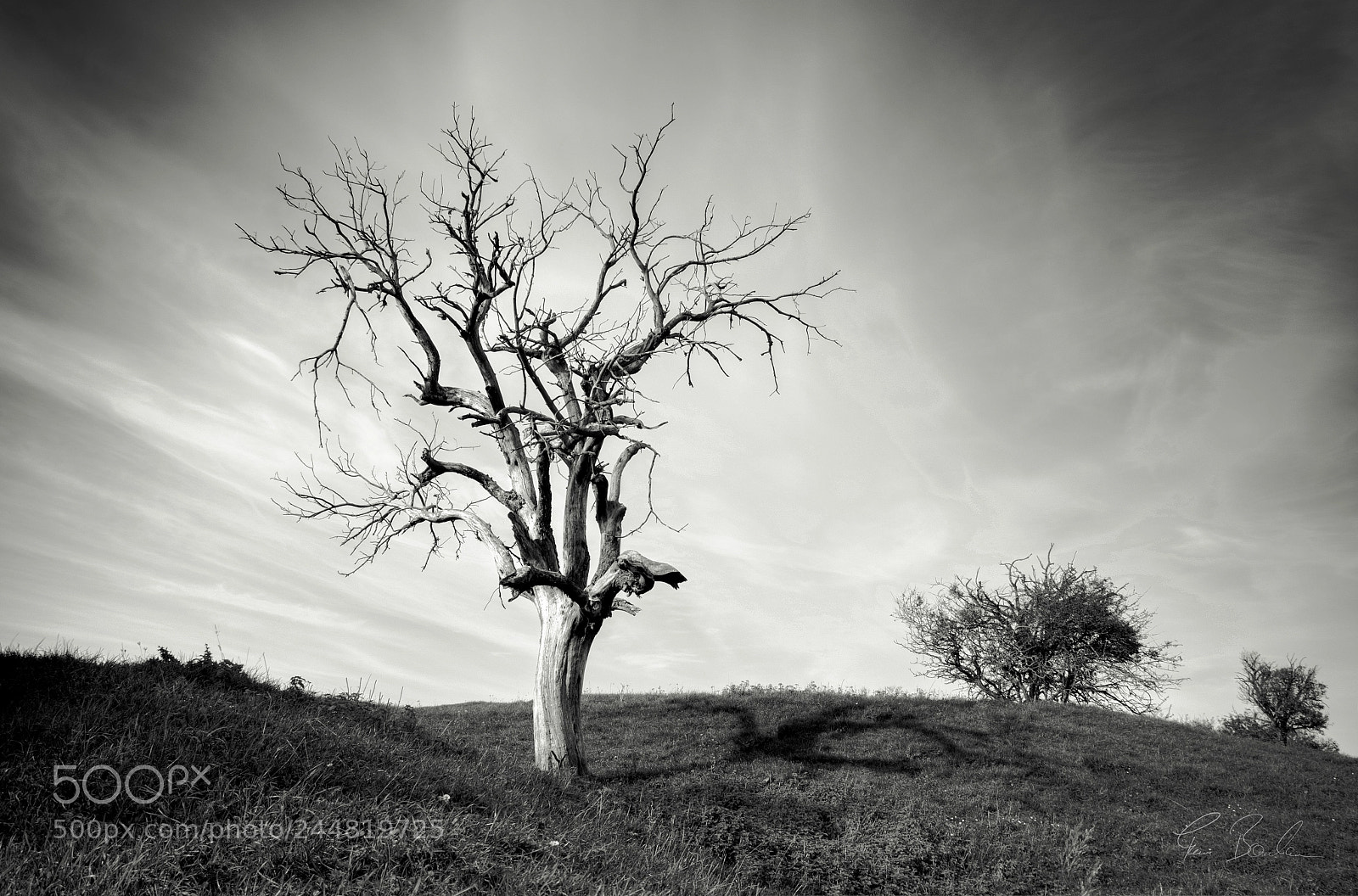 Pentax K-5 sample photo. Solitaire photography