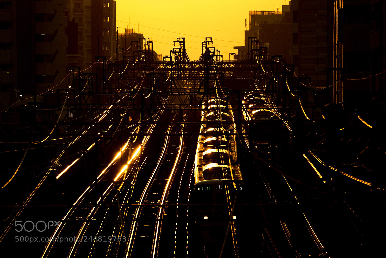 Sony a7S sample photo. The train grow gold photography