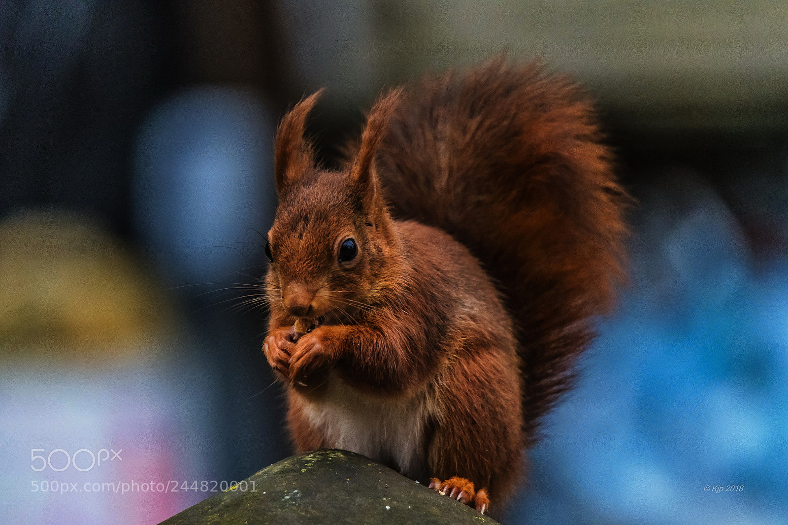 Nikon D850 sample photo. 20180202 photography
