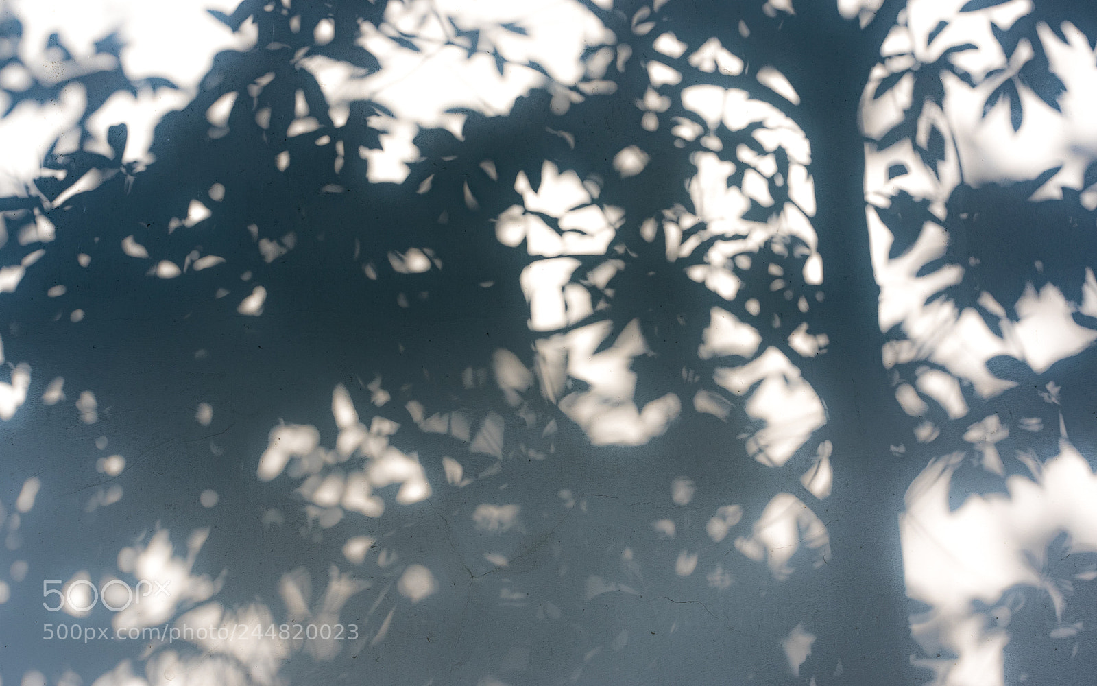 Pentax K-3 II sample photo. Silhouette photography