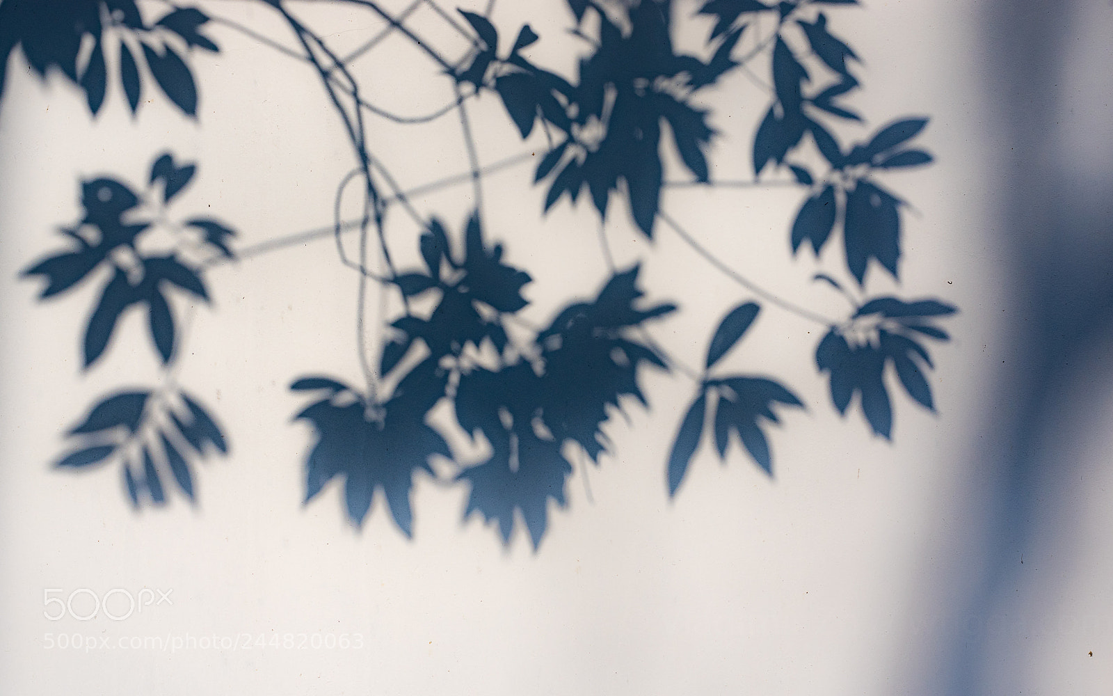 Pentax K-3 II sample photo. Silhouette photography