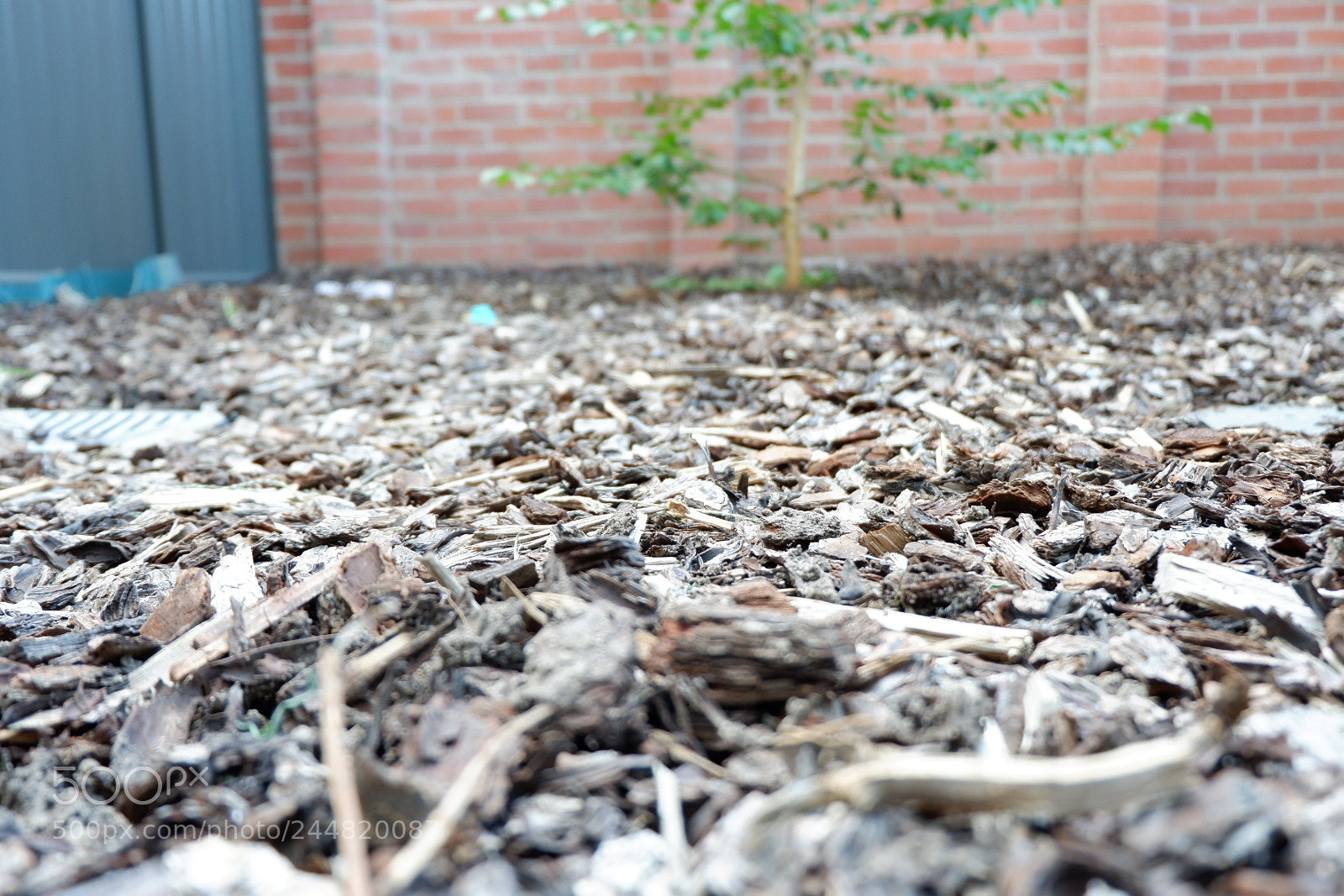 Fujifilm X-A3 sample photo. Courtyard photography