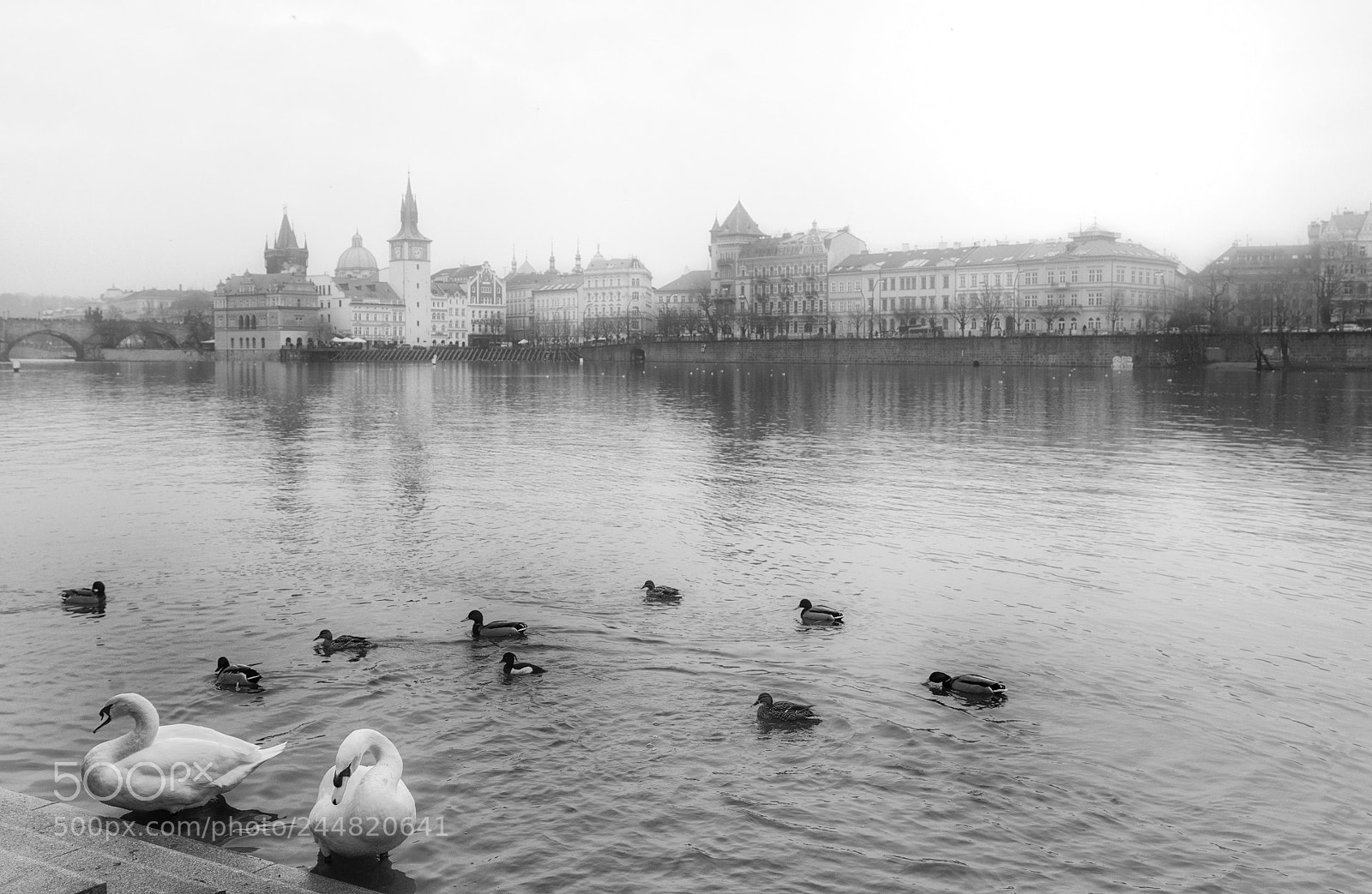 Sony a7R sample photo. Prague 4 photography