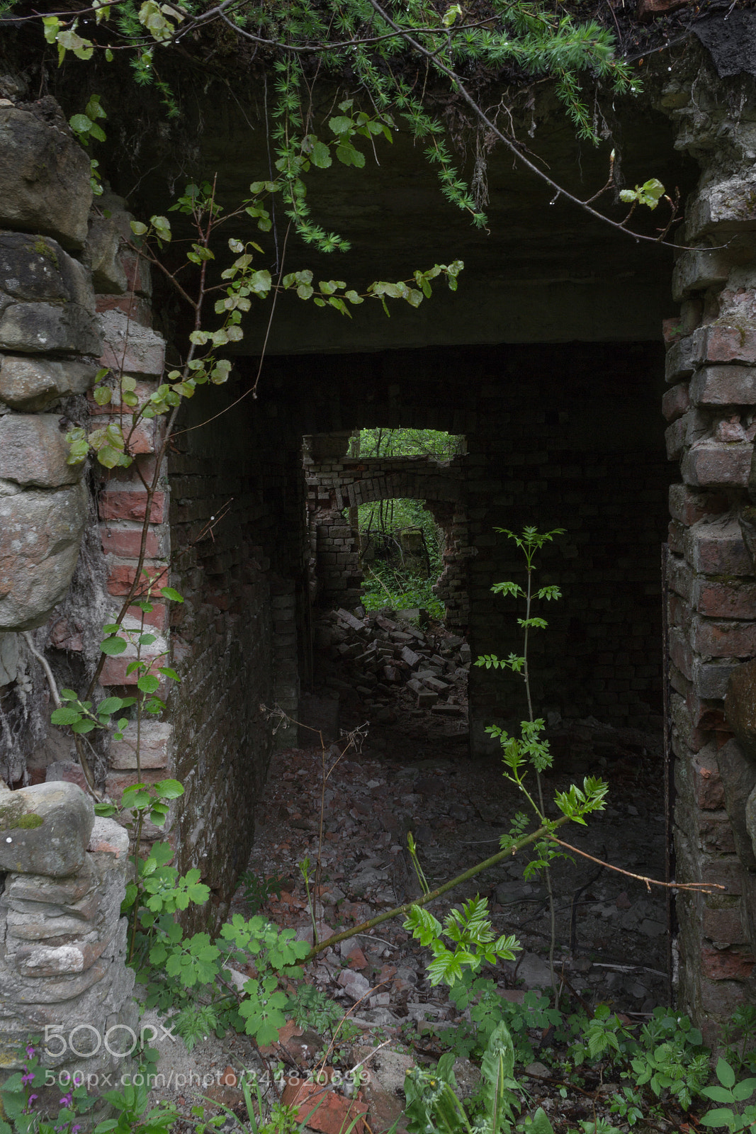 Canon EOS 600D (Rebel EOS T3i / EOS Kiss X5) sample photo. The old mill photography