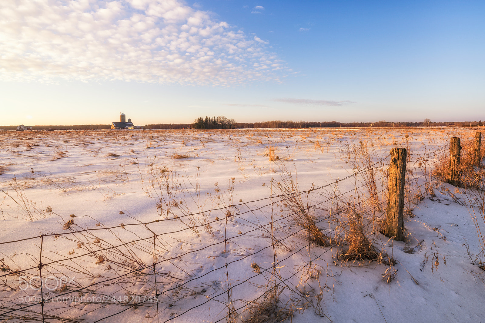 Sony a7R II sample photo. A winter morning in photography