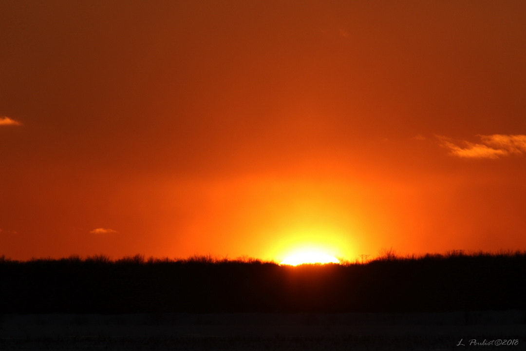 Canon EF 300mm F4L IS USM sample photo. Sunset/ soleil couchant photography