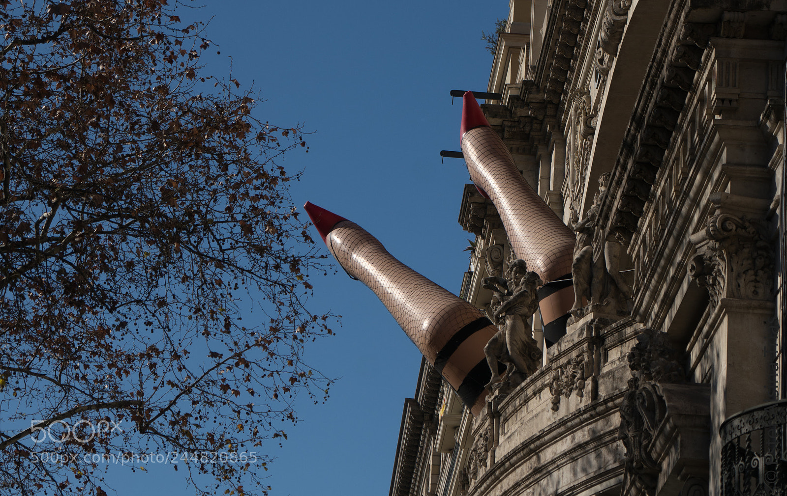 Sony a7R II sample photo. Curiosas legs photography