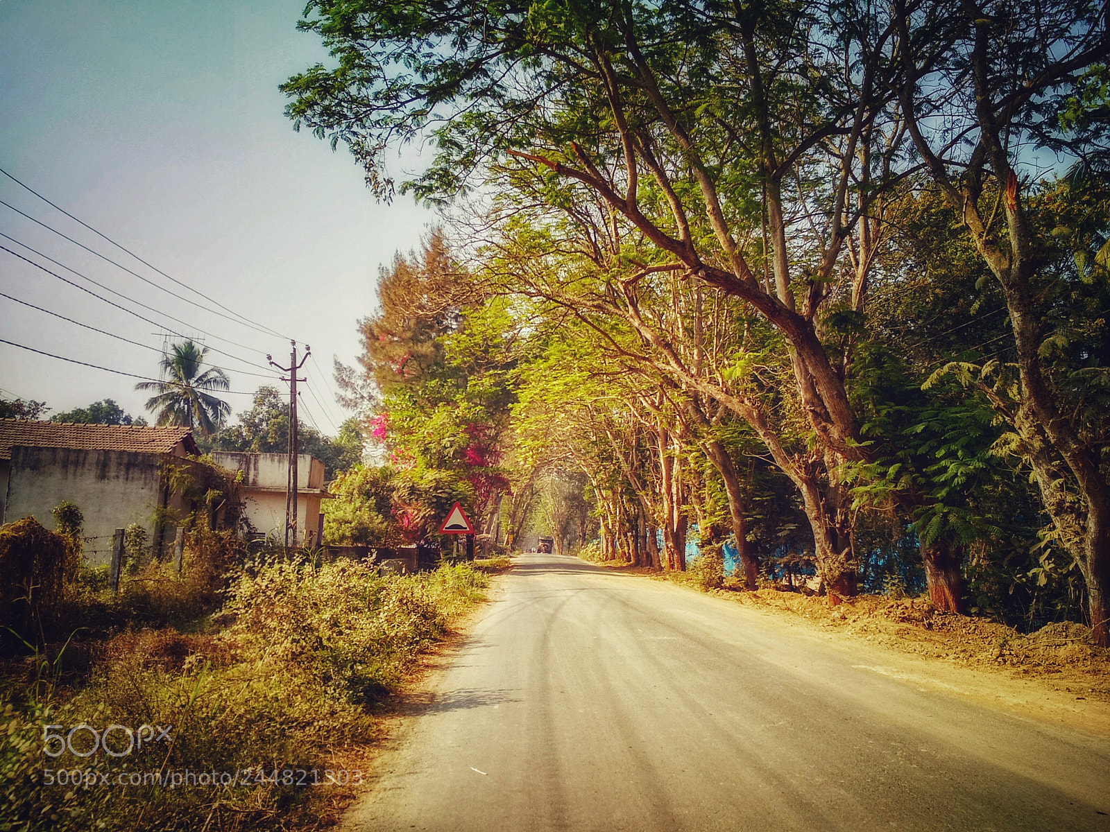 Xiaomi Redmi 4 Pro sample photo. & photography