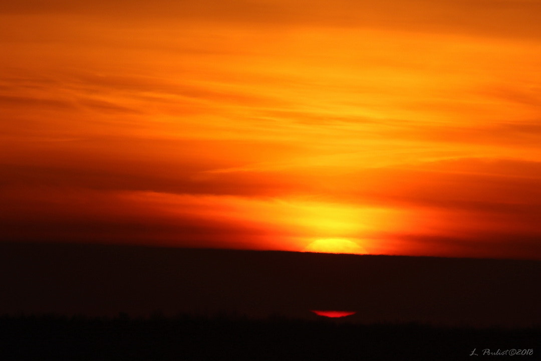 Canon EF 300mm F4L IS USM sample photo. Moody sky / ciel étrange photography