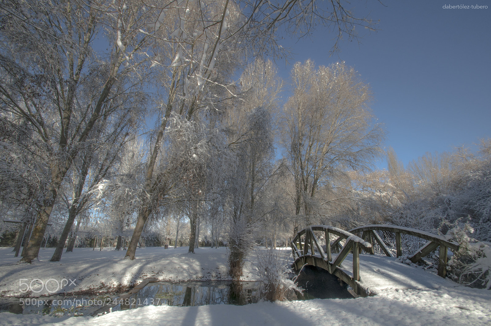 Nikon D90 sample photo. Puente nevado photography