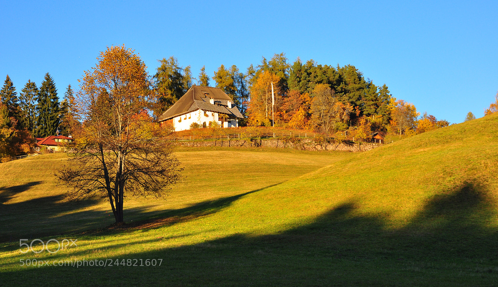 Nikon D90 sample photo. Autumn in tyrol photography