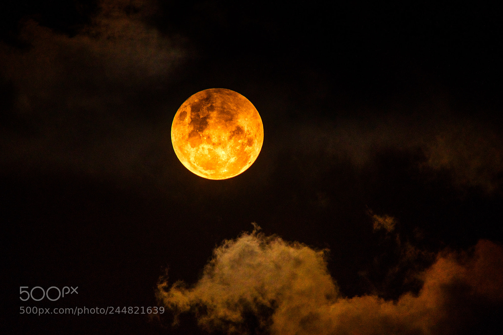 Nikon D850 sample photo. The lunar full moon photography