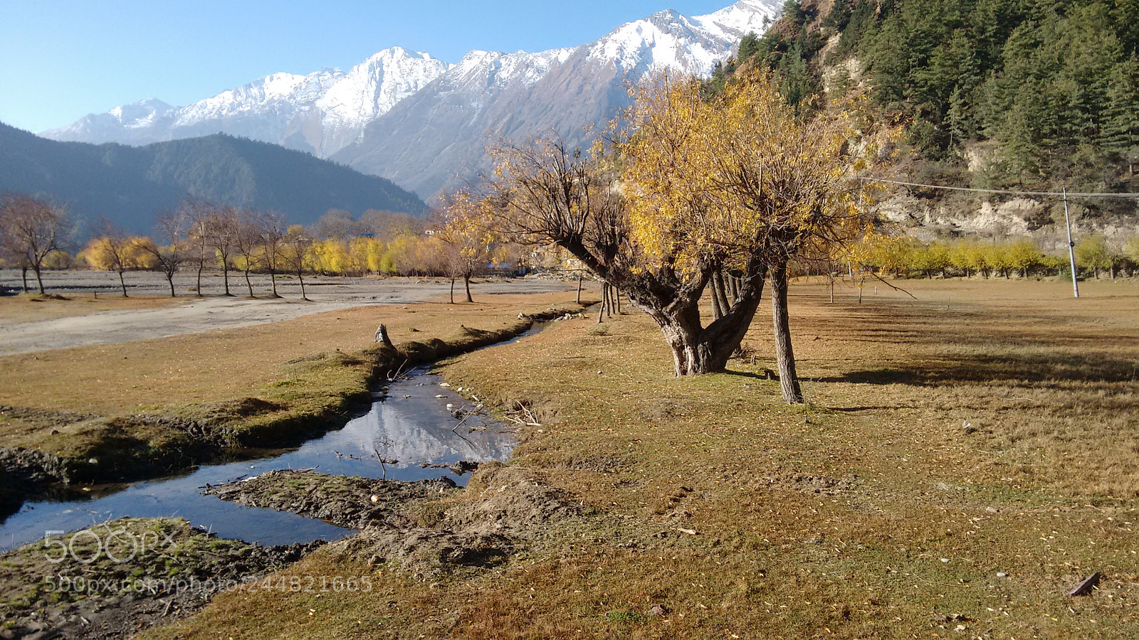 Motorola Moto G (2nd Gen) sample photo. Nature photography