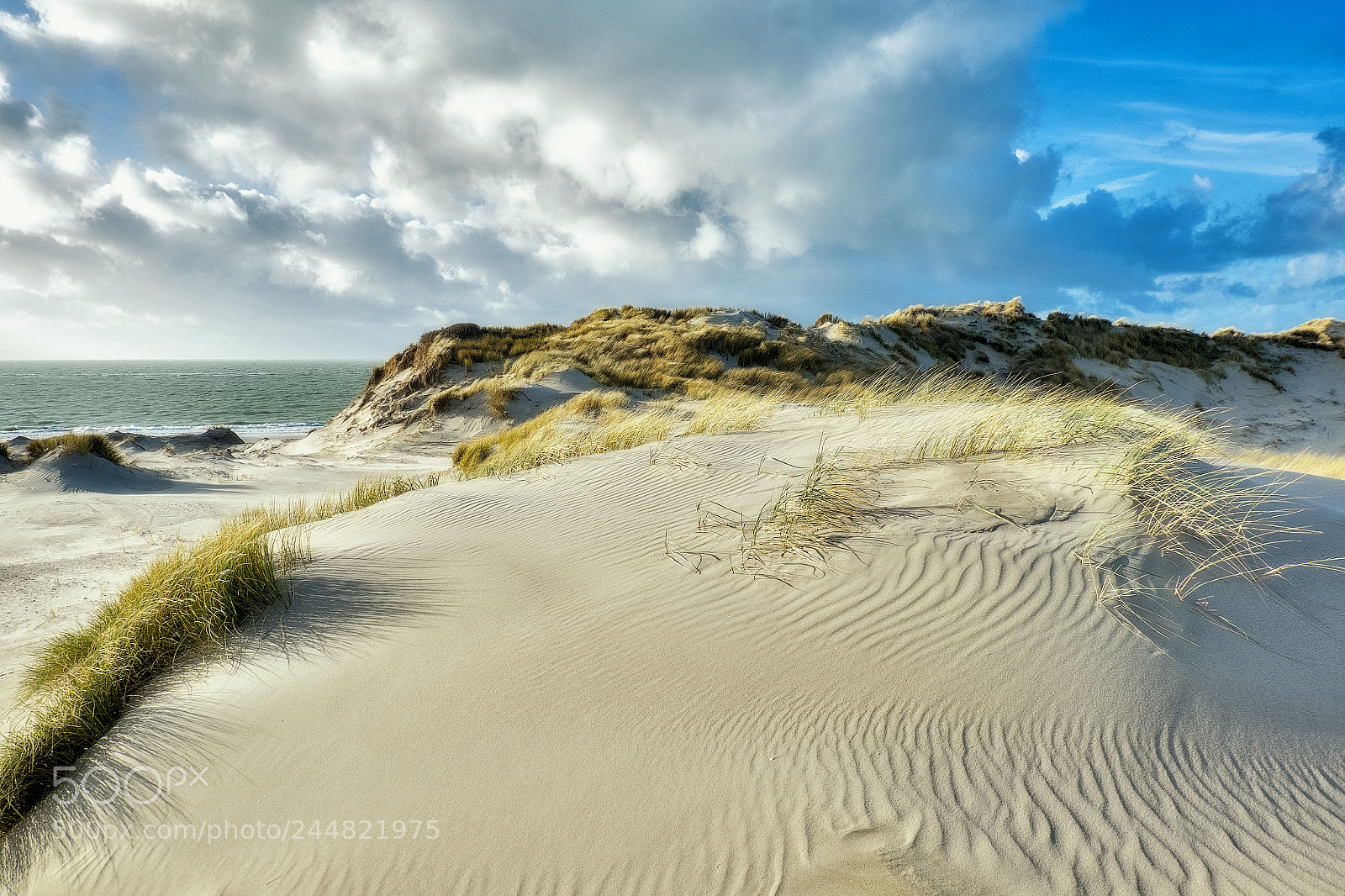 Fujifilm X-T1 sample photo. Sandy coast photography