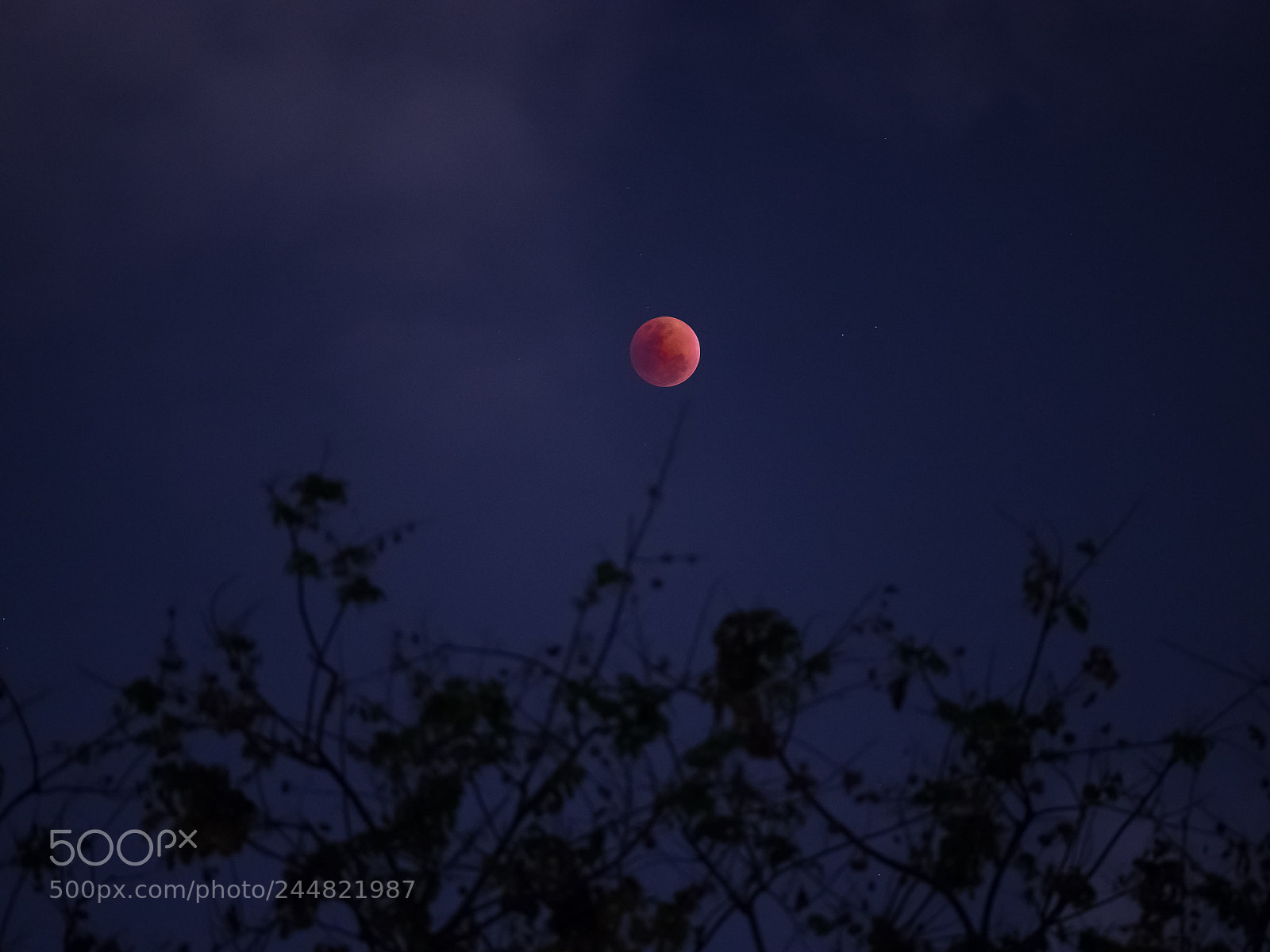 Olympus OM-D E-M10 II sample photo. Eyes on the moon photography