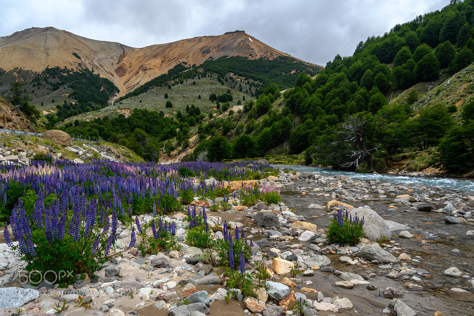Nikon D7500 sample photo. Along the carretera austral photography