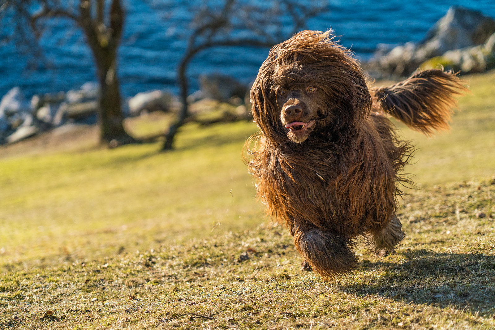 Sony a7R III sample photo. Chuck morris photography