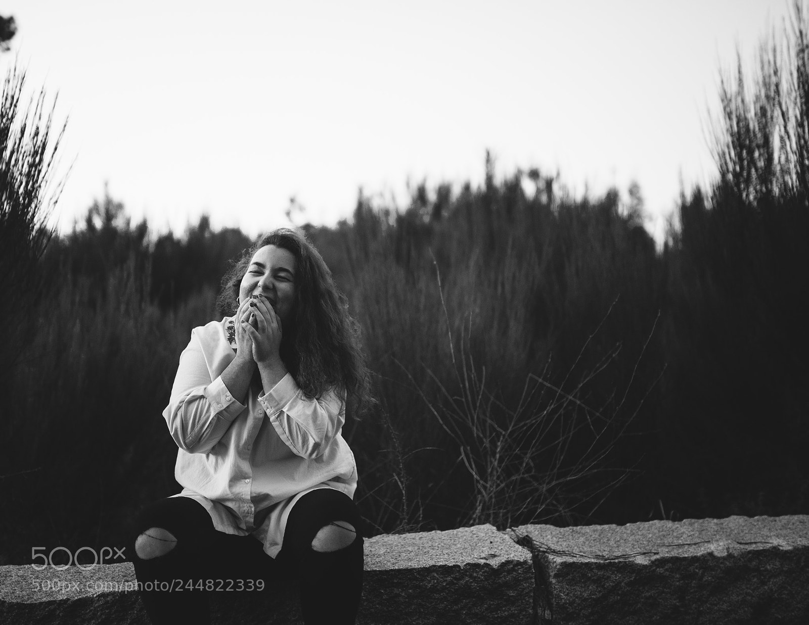 Nikon D610 sample photo. Untitled photography