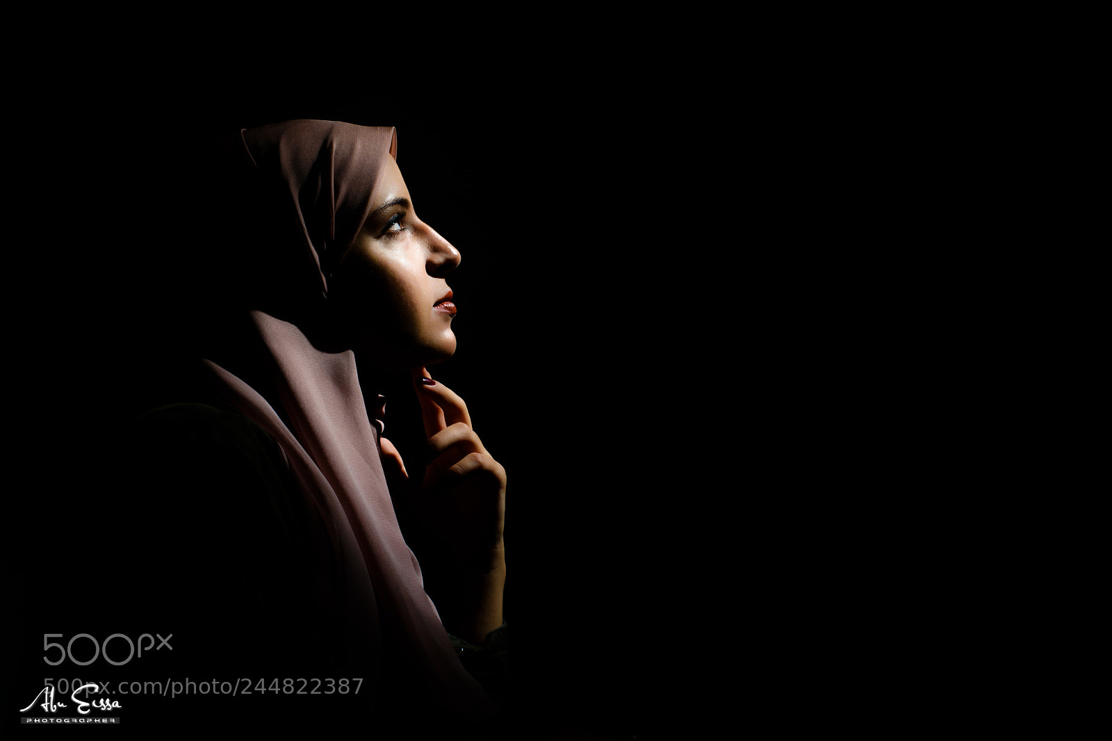 Nikon D5600 sample photo. Shourok army photography