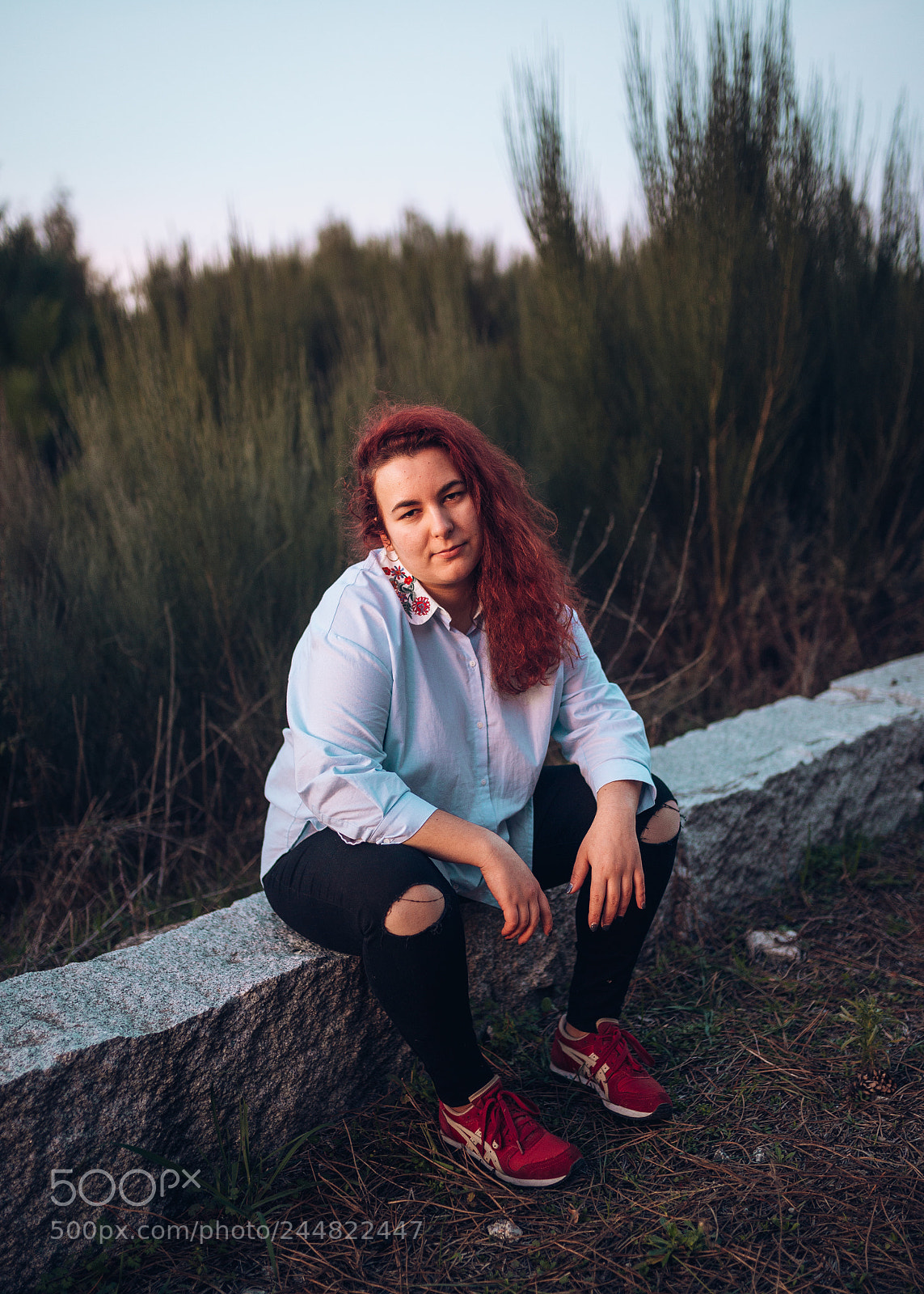 Nikon D610 sample photo. Untitled photography