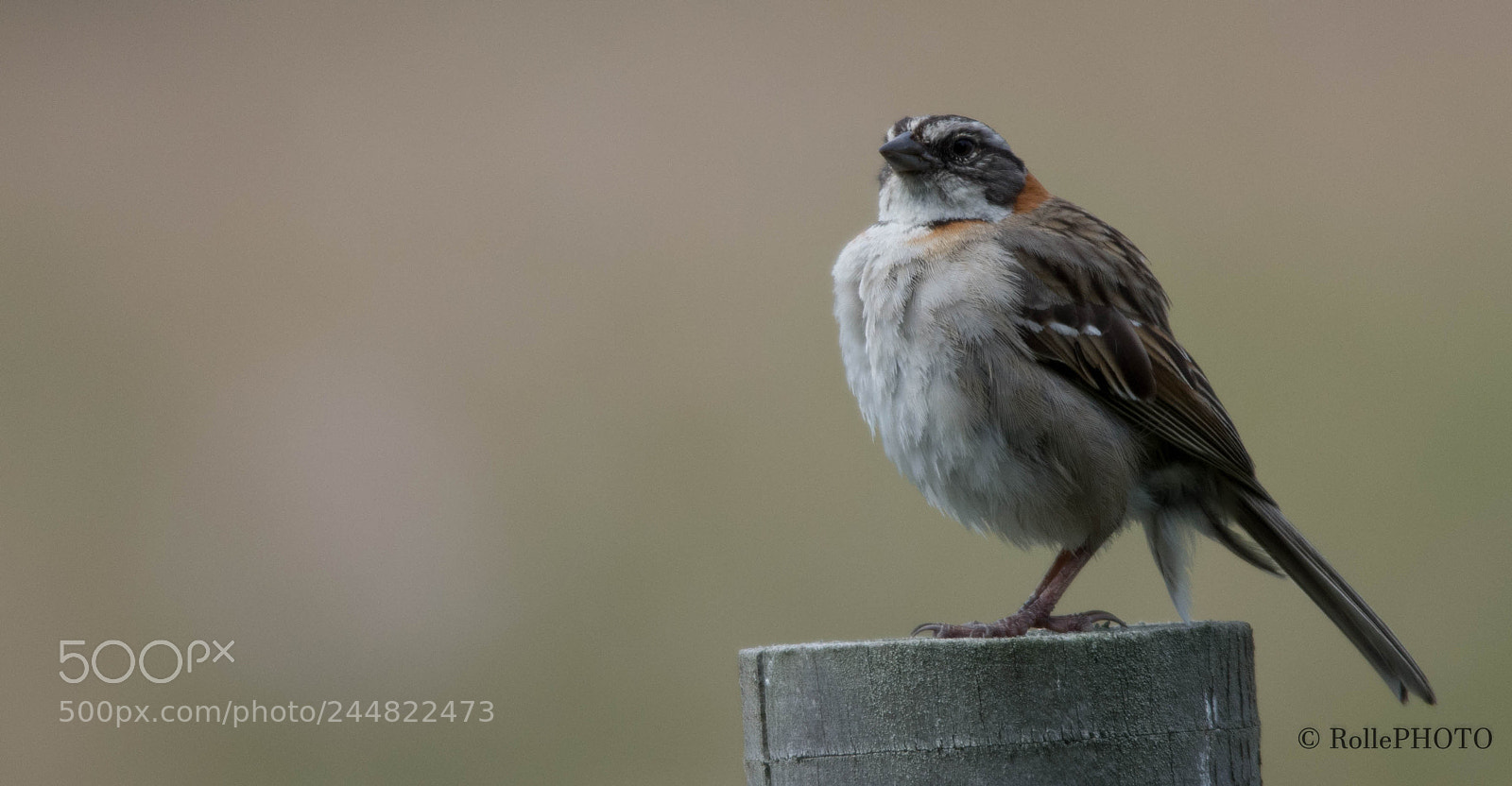 Nikon D7200 sample photo. Villarrica 3 photography
