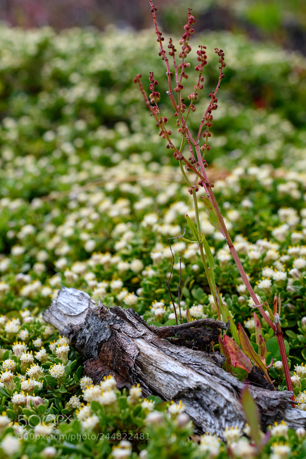 Nikon D7500 sample photo. Scale matters photography