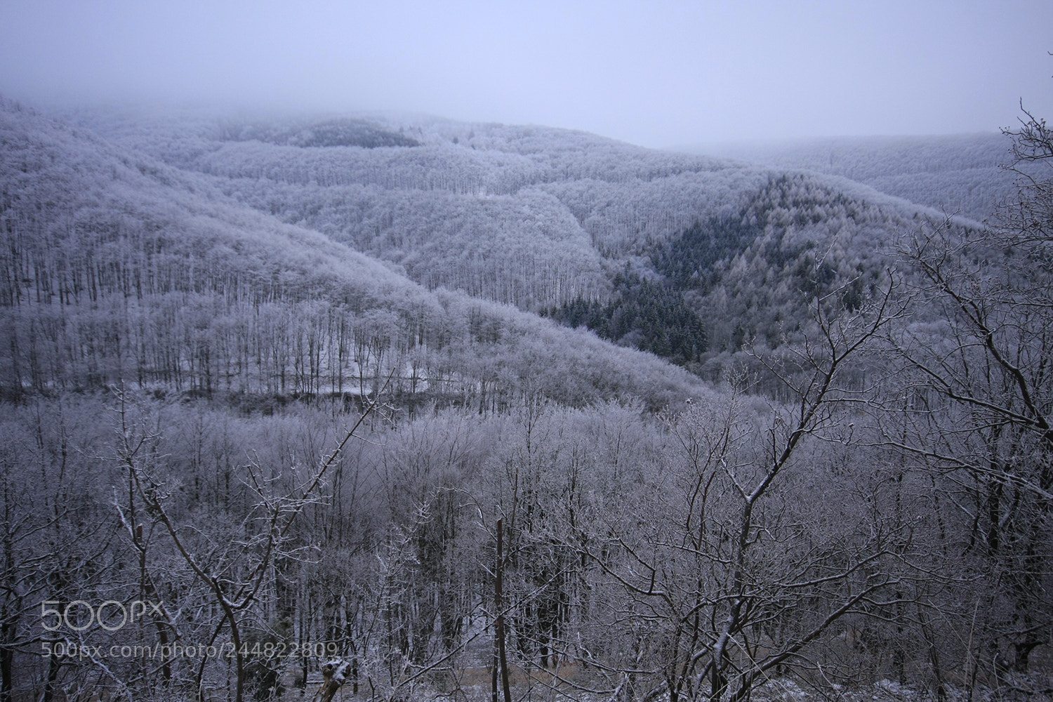 Canon EOS 40D sample photo. Foggy mountain photography