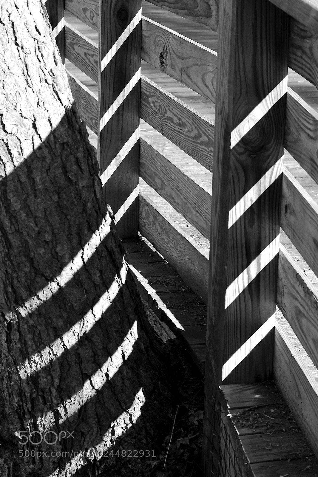 Nikon D5100 sample photo. Shadows and light photography