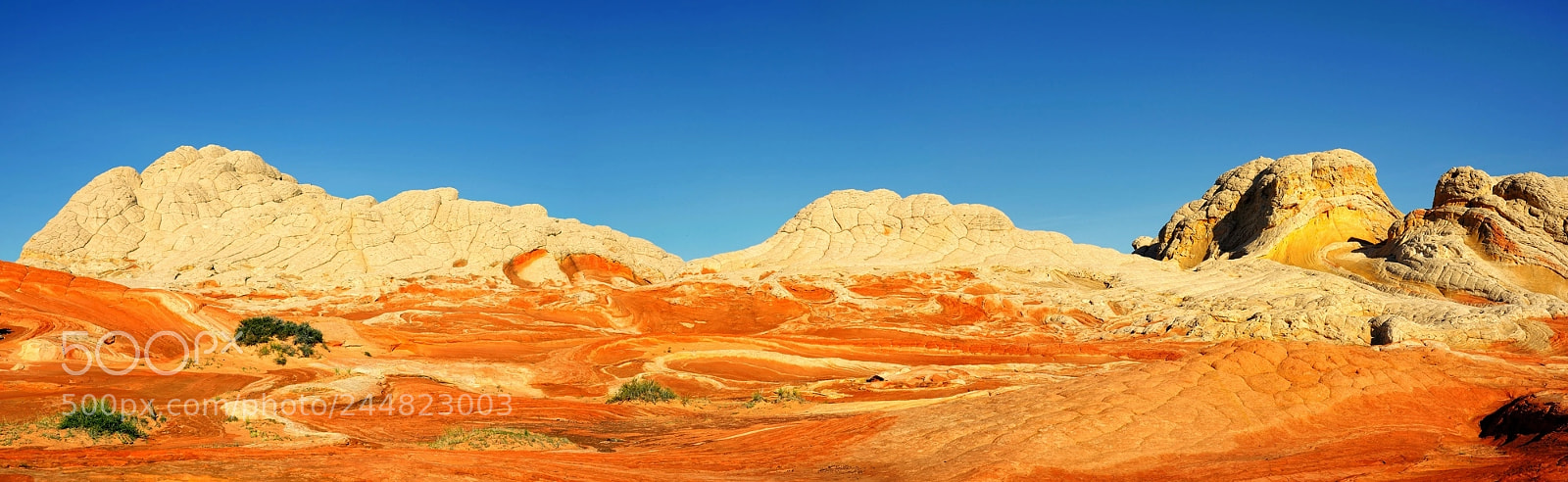 Nikon D700 sample photo. White pocket pano photography
