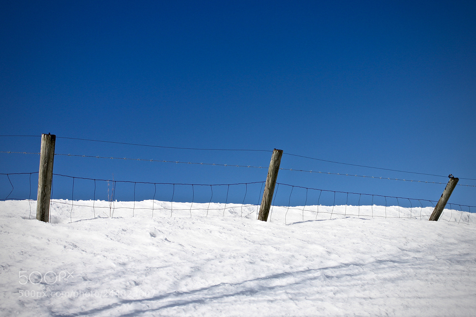 Canon EOS 500D (EOS Rebel T1i / EOS Kiss X3) sample photo. Fence photography